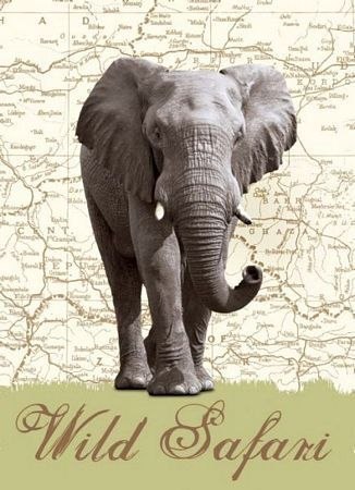 Dzikie safari (Słoń) - fototapeta Dzikie safari (Słoń) - fototapeta