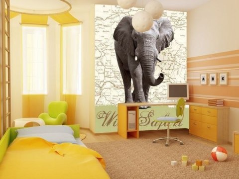 Dzikie safari (Słoń) - fototapeta Dzikie safari (Słoń) - fototapeta