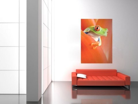 Żaba w kwiatach - fototapeta Żaba w kwiatach - fototapeta