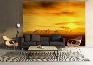 Żyrafy na safari - fototapeta