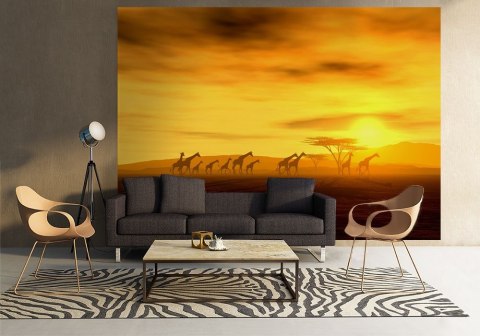 Żyrafy na safari - fototapeta Żyrafy na safari - fototapeta