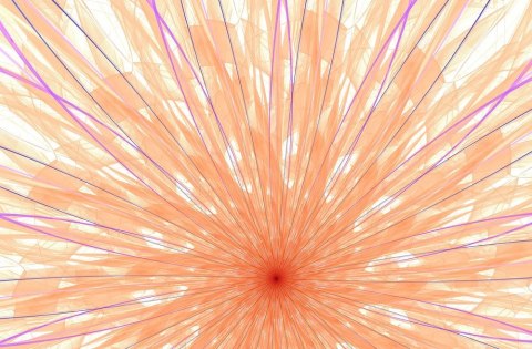 Fractal flower - fototapeta Fractal flower - fototapeta