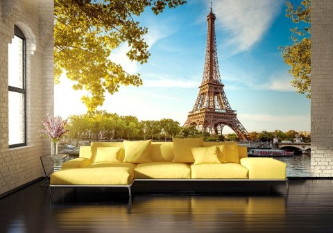 Tour Eiffel Paris France - fototapeta Tour Eiffel Paris France - fototapeta