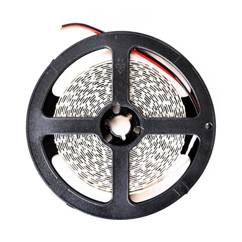 Taśma Led Premium 120/m 6000K IP20 5m Taśma Led Premium 120/m 6000K IP20 5m