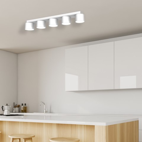 Lampa sufitowa DIXIE White 5xGX53