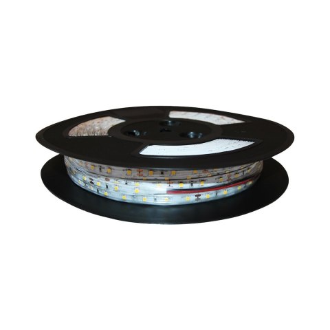 TAŚMA 120 LED IP20 ZIMNY (50m) TAŚMA 120 LED IP20 ZIMNY (50m)