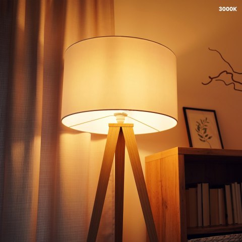 Żarówka LED 5W E14 G45 3000K Żarówka LED 5W E14 G45 3000K