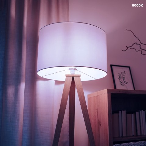 Żarówka LED 5W E14 G45 6000K Żarówka LED 5W E14 G45 6000K