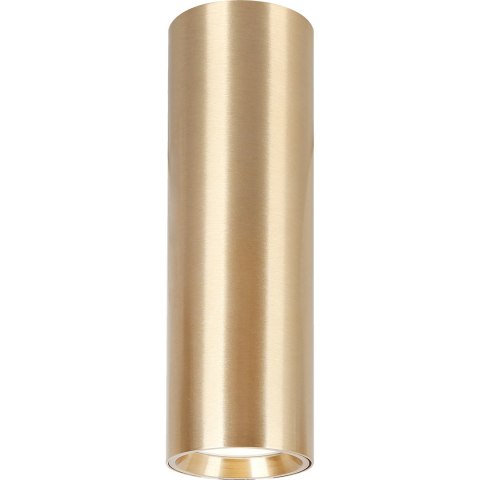 GENESIS SPOT GOLD 1xGU10 20cm GENESIS SPOT GOLD 1xGU10 20cm