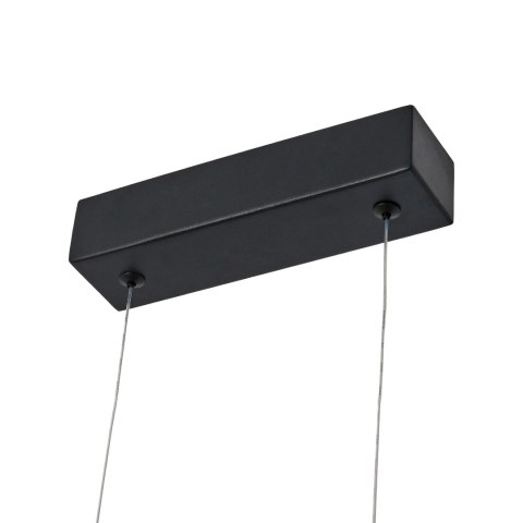 Lampa Wisząca Loop S 1xLED czarna IP44 PL0119-65-BK Lampa Wisząca Loop S 1xLED czarna IP44 PL0119-65-BK
