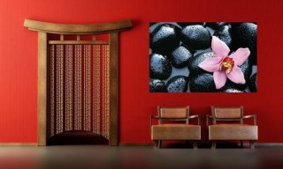 Kamienie i Orchidea - fototapeta