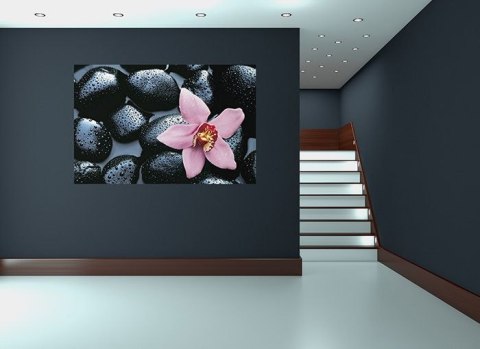 Kamienie i Orchidea - fototapeta Kamienie i Orchidea - fototapeta