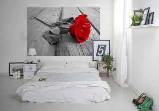Róża na pomoście - fototapeta