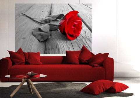 Róża na pomoście - fototapeta Róża na pomoście - fototapeta