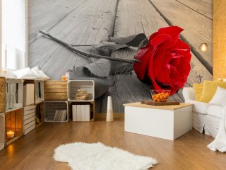 Róża na pomoście - fototapeta