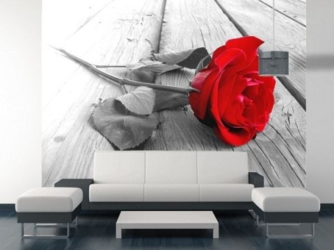 Róża na pomoście - fototapeta Róża na pomoście - fototapeta