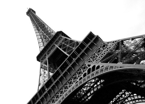 Wieża Eiffel, Paryż - fototapeta Wieża Eiffel, Paryż - fototapeta