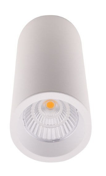 MAXLIGHT C0153 LAMPA SUFITOWA LONG BIAŁY 7W
