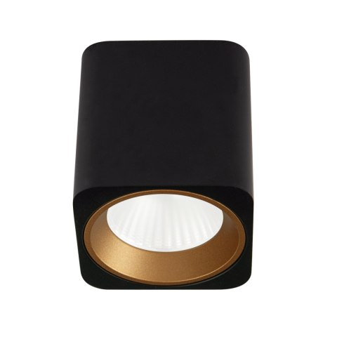 MAXLIGHT C0212 LAMPA SUFITOWA TUB KWADRAT CZARNY + PIERŚCIEŃ OZDOBNY ZŁOTY RC0155/C0156 GOLD MAXLIGHT C0212 LAMPA SUFITOWA TUB KWADRAT CZARNY + PIERŚCIEŃ OZDOBNY ZŁOTY RC0155/C0156 GOLD