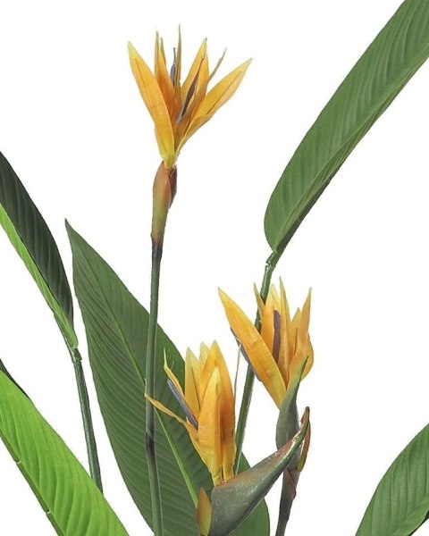 KARE roślina dekoracyjna PARADISE FLOWERS 190 cm KARE roślina dekoracyjna PARADISE FLOWERS 190 cm
