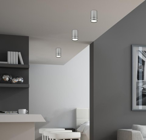 TUBA LAMPA SUFITOWA 1X15W GU10 6,8/10 SREBRNY MATOWY TUBA LAMPA SUFITOWA 1X15W GU10 6,8/10 SREBRNY MATOWY